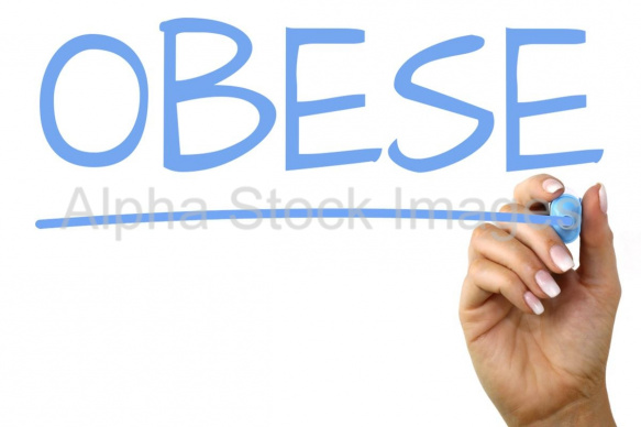 obese