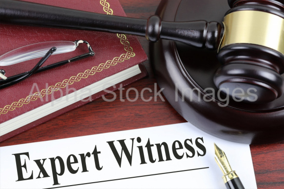 expert witness