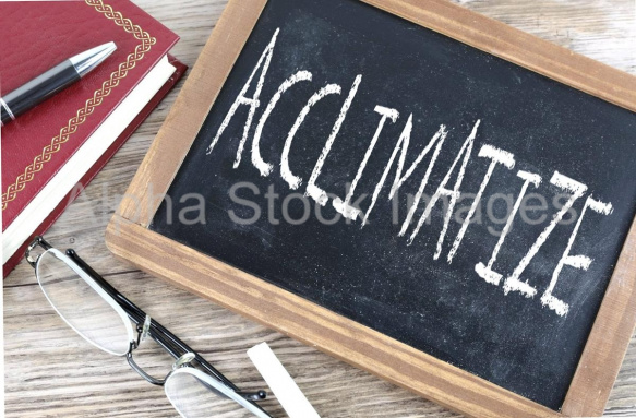 acclimatize