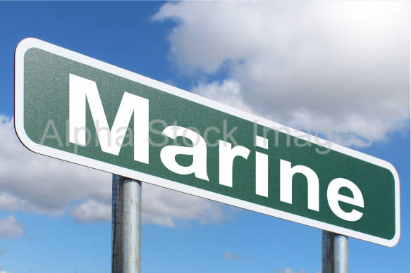 Marine