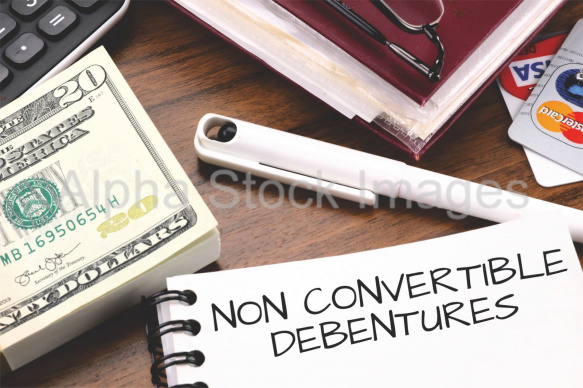 non convertible debentures