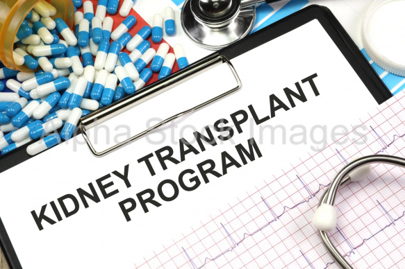 kidney transplant program