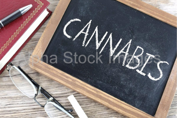 cannabis