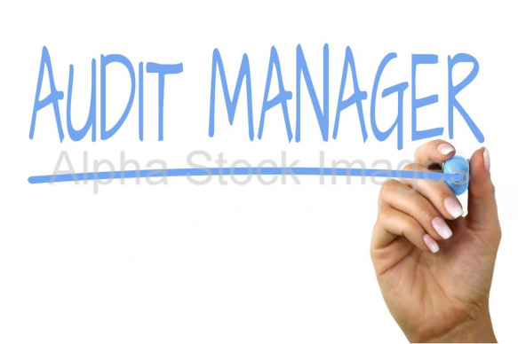 audit manager