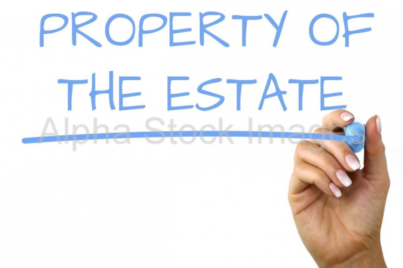 property of the estate