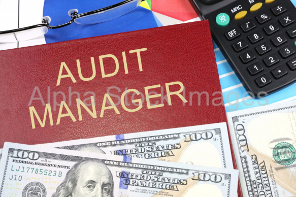 audit manager