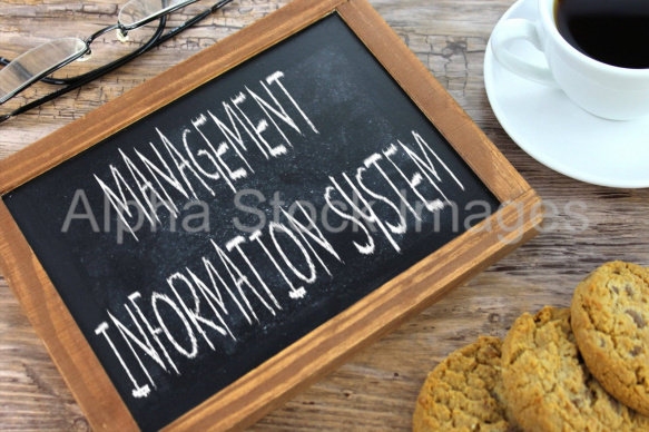management information system