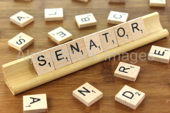 Senator