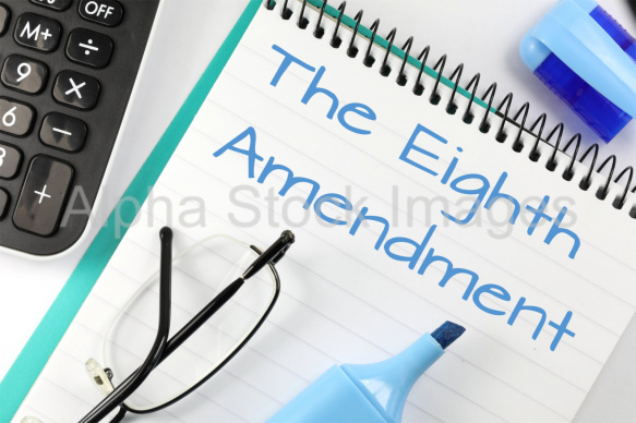 the eighth amendment