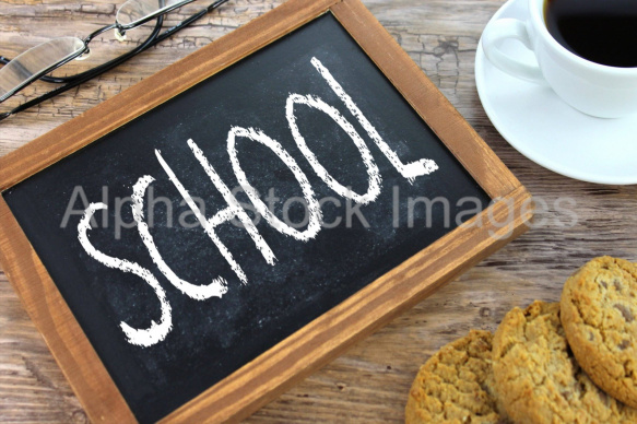 school