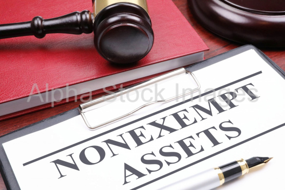 nonexempt assets