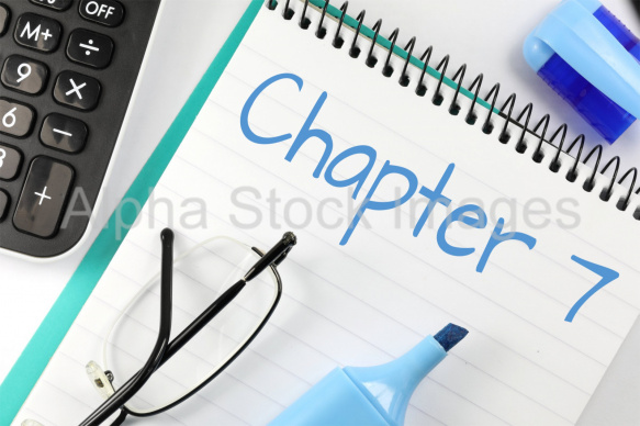 chapter 7