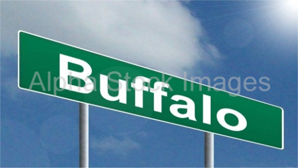 Buffalo
