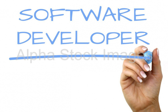 software developer