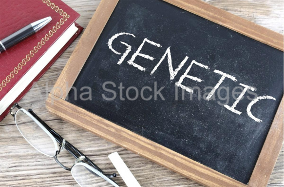 genetic