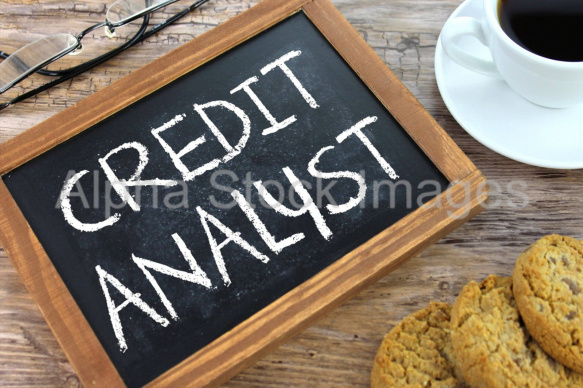 credit analyst