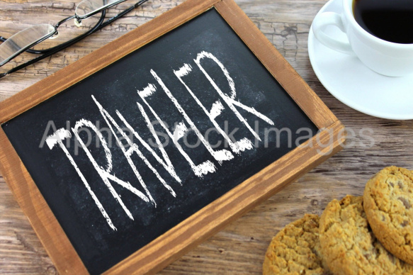 traveler