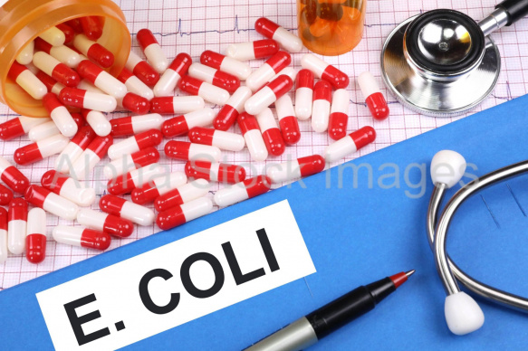 e coli
