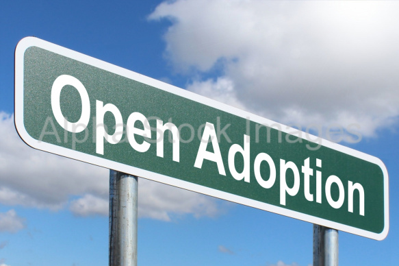 Open Adoption