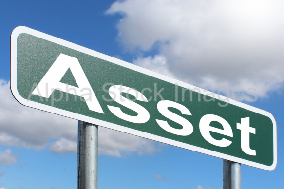 Asset