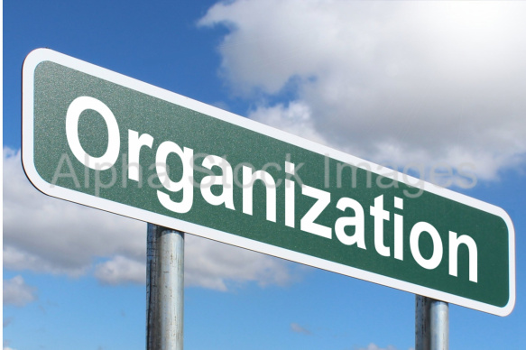 Organization