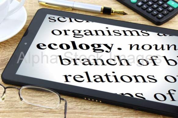 ecology