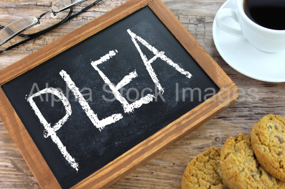 plea
