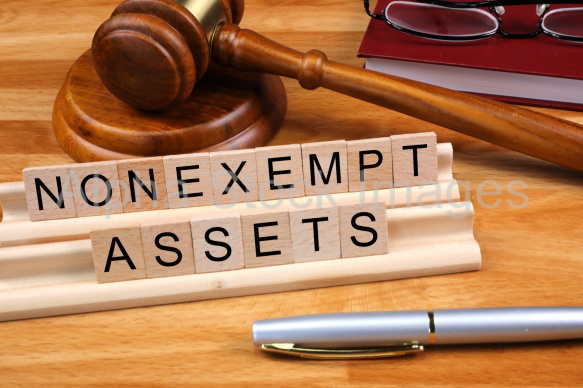 nonexempt assets