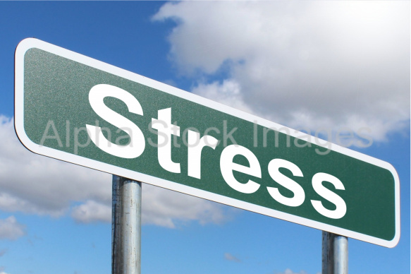 Stress