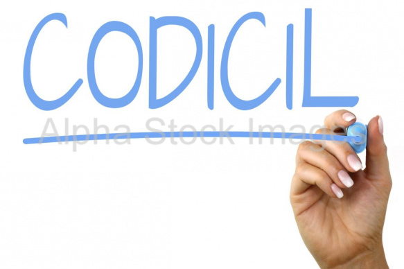 codicil