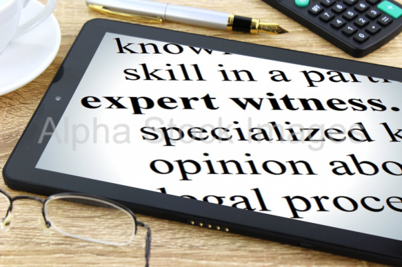 expert witness