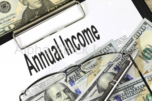 annual income