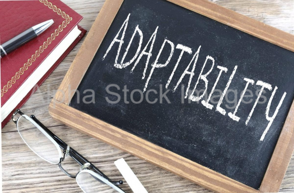 adaptability