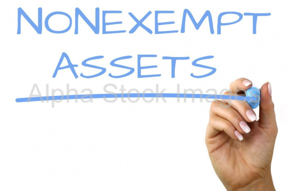 nonexempt assets