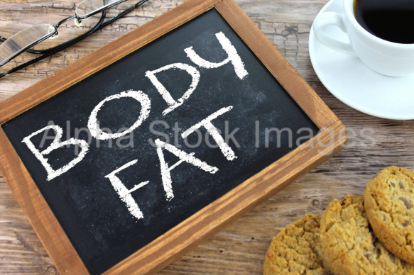 body fat