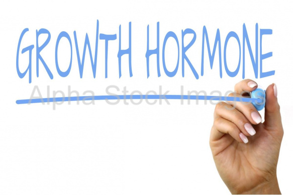 growth hormone