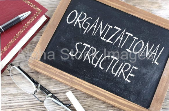 organizational structure