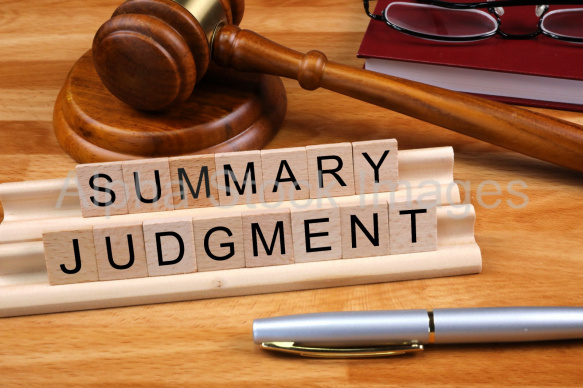 summary judgement