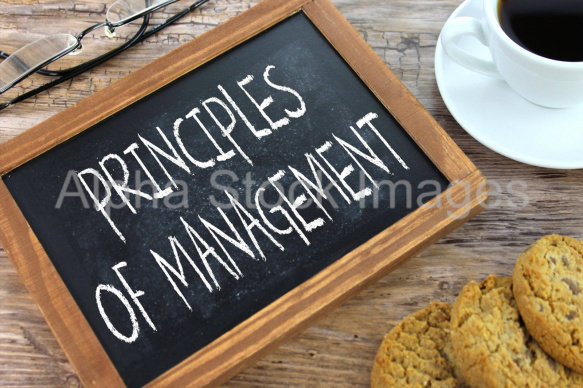 principles of management