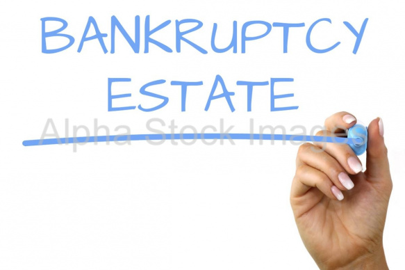bankruptcy estate