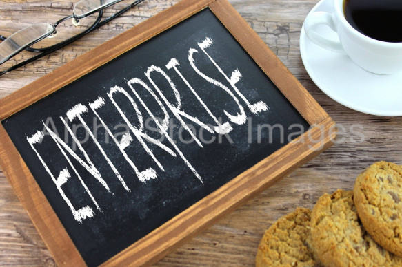 enterprise