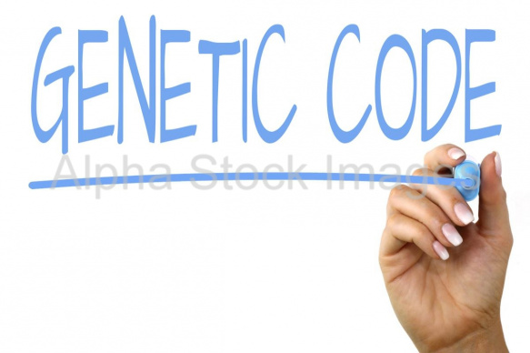 genetic code