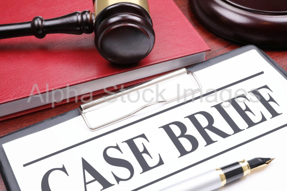 case brief