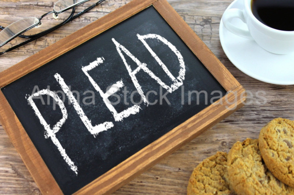 plead