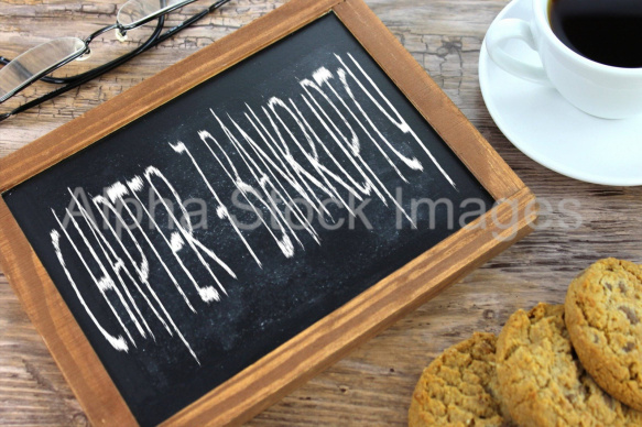 chapter 7 bankruptcy