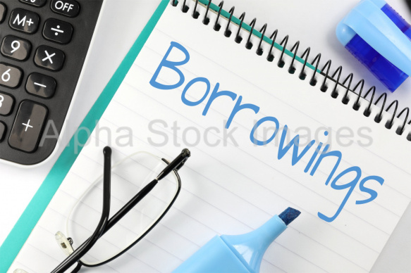 borrowings