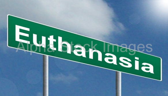 Euthanasia