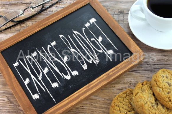 expense budget