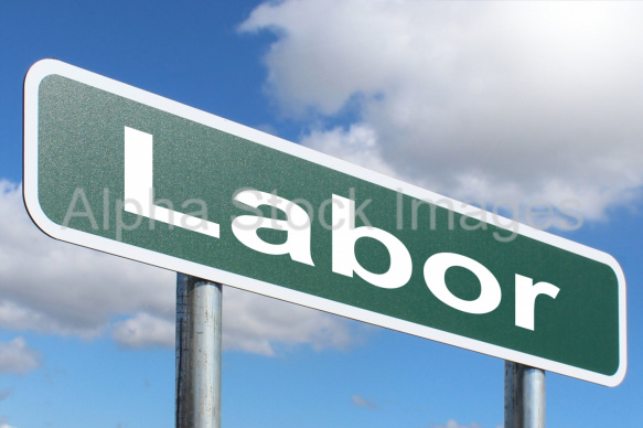 Labor