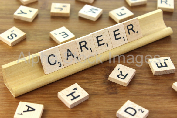 Career